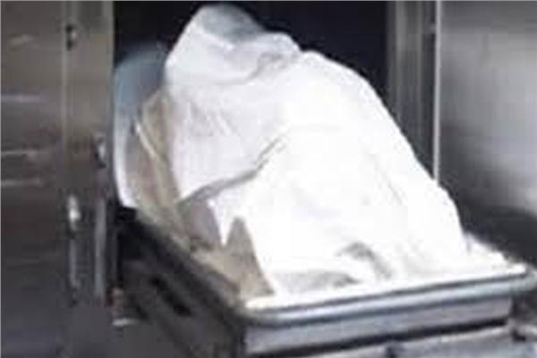 مصرع كهربائي في «بلاد المال» بقنا