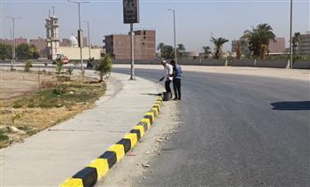   نظافة وتجميل وتشجير.. درنكة بأسيوط تتجمل