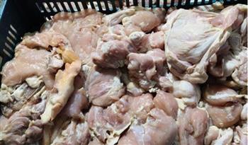 ضبط طن ونصف دواجن غير صالحة للاستهلاك الآدمي في قليوب