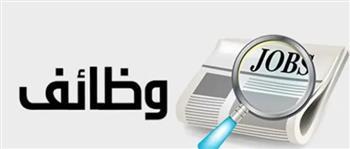 وزارة العمل تعلن 300 فرصة للسائقين برواتب تصل إلى 15 ألف جنيه