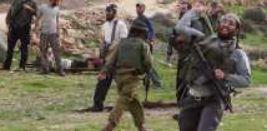 الأمم المتحدة: أكثر من 1040 فلسطينيا أصيبوا جراء هجمات المستوطنين بالضفة منذ بداية 2026
