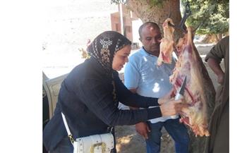   ضبط 2.5 طن سماد مدعم وسلع متنوعة قبل طرحها بالسوق السوداء بالمنيا 