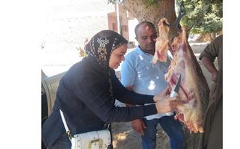 ضبط 2.5 طن سماد مدعم وسلع متنوعة قبل طرحها بالسوق السوداء بالمنيا