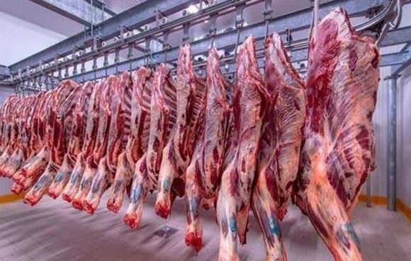 سعر كيلو اللحوم اليوم في مصر.. آخر تحديث للأسعار