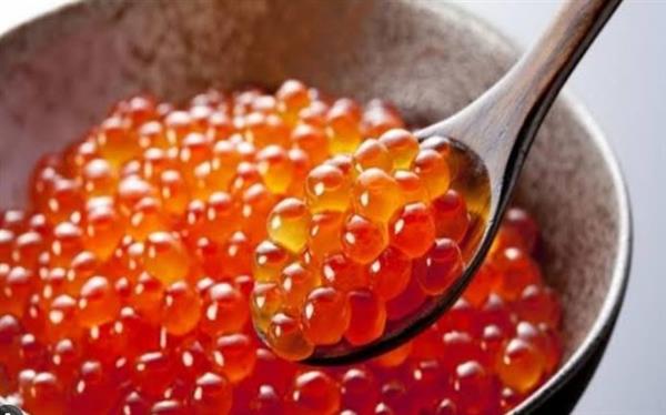 الكافيار ليس مجرد بيض سمك.. ما سر هذا الغذاء الفاخر ولماذا يُعد كنزًا غذائيًا؟
