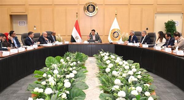 وزير الصناعة يبحث زيادة المكون المحلي وتصنيع هيكل السيارات بالكامل في مصر