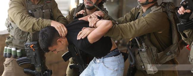 الاحتلال الإسرائيلي يعتقل مالايقل عن 11 فلسطينيا من مدن الضفة