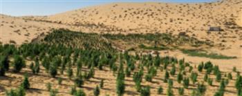 ضبط كميات كبيرة من المواد المخدرة بالإسماعيلية قيمتها 1.4 مليار جنيه