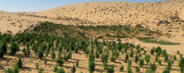 ضبط كميات كبيرة من المواد المخدرة بالإسماعيلية قيمتها 1.4 مليار جنيه