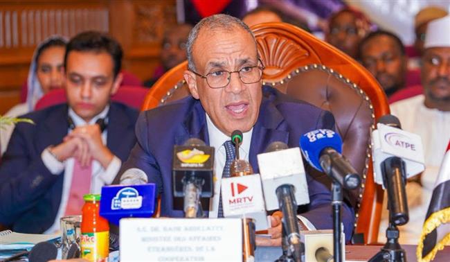 شراكة مصرية تشادية جديدة في النقل والصحة والاستثمار