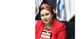   مجلس الشباب المصري يطلق النسخة الثانية من منتدى رواد الانتماء الوطني