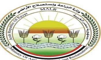 الزراعة تدرب 70 مهندسًا على نظم الزراعة الذكية