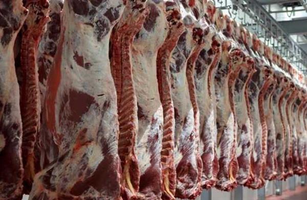 أسعار اللحوم اليوم الخميس 10 سبتمبر.. التفاصيل كاملة