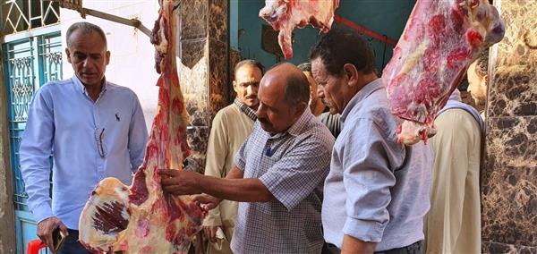 سوهاج .. ضبط 3 أطنان سلع وتحرير 19 محضرًا في حملة مكبرة بجهينة