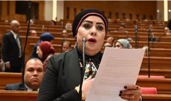 جيهان شاهين: كلمة السيسي أمام بريكس وضعت أولويات مصر بوضوح