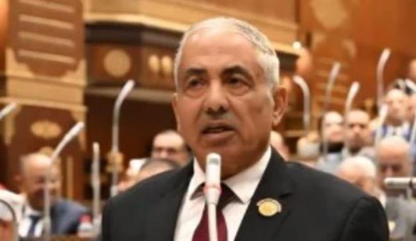 أحمد العوضي: رؤية الرئيس السيسي تضع التعاون والتنمية والسلام في صدارة أجندة ال"بريكس"
