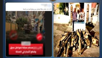   كشف ملابسات قطع شجرتين بالغربية وضبط 3 متهمين