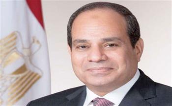  مصر والسعودية تؤكدان حماية الملاحة في هرمز وباب المندب