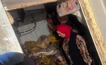   سلامة الغذاء: ضبط 20 طن لحوم مجهولة المصدر داخل ثلاجة بالخانكة