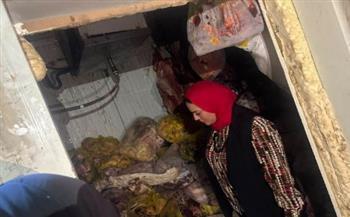 سلامة الغذاء: ضبط 20 طن لحوم مجهولة المصدر داخل ثلاجة بالخانكة