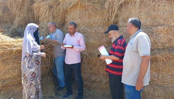 محافظ الدقهلية يتابع أعمال لجنة التفتيش على مواقع تجميع وتخزين قش الأرز