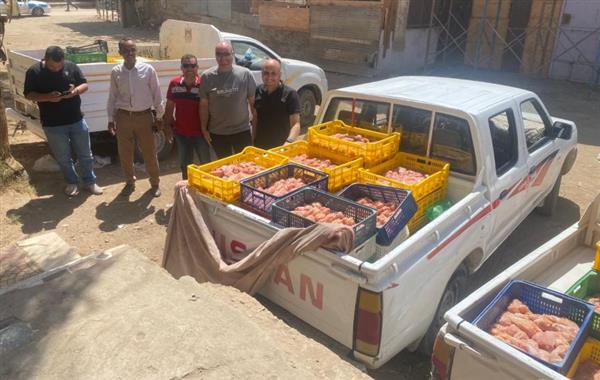 التحفظ على 700 كجم دجاج غير صالح للاستهلاك ببني سويف
