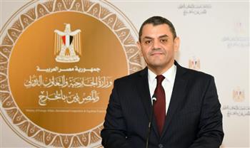   وزير الخارجية يصدر قراراً بتعيين السفير نادر زكي متحدثاً رسمياً باسم الوزارة
