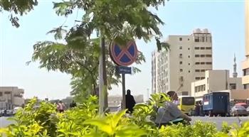زراعة 2800 شجرة و600 ألف شجيرة ونبات صغير ضمن مبادرة تخضير القاهرة