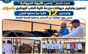 تحصين وترقيم حيوانات مزرعة كلية الطب البيطري بأسوان