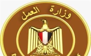متحدث وزارة العمل: حملات التفتيش تستهدف منع الحوادث قبل وقوعها