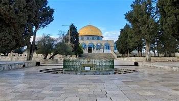 قطر تدين اقتحام وزير الأمن القومي الإسرائيلي ومستوطنين للمسجد الأقصى