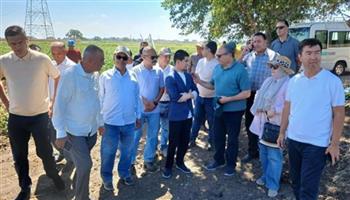   البحوث الزراعية بسخا تستقبل الوفد الأوزبكي للاطلاع على البرامج البحثية للأرز والذرة