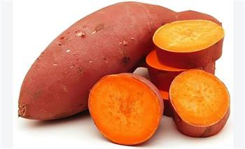   البطاطا الحلوة.. كنز غذائي يشبعك ويمد جسمك بالفيتامينات