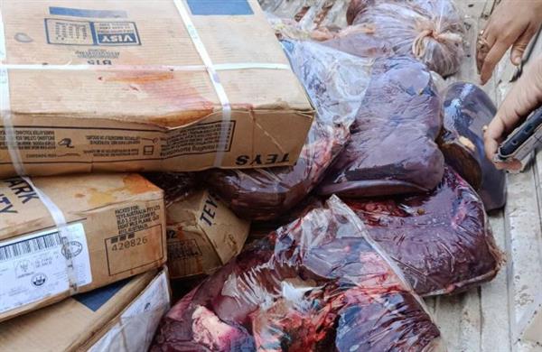 كبدة فاسدة ومياه مجهولة المصدر.. ضبط مخالفات بكفرالشيخ