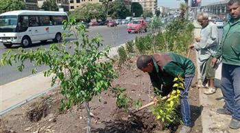   الجيزة تتوسع في المساحات الخضراء وتجميل الشوارع والميادين