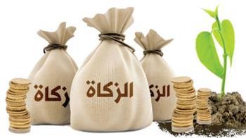 هل يجوز دفع الزكاة إلى الأخ المدين؟