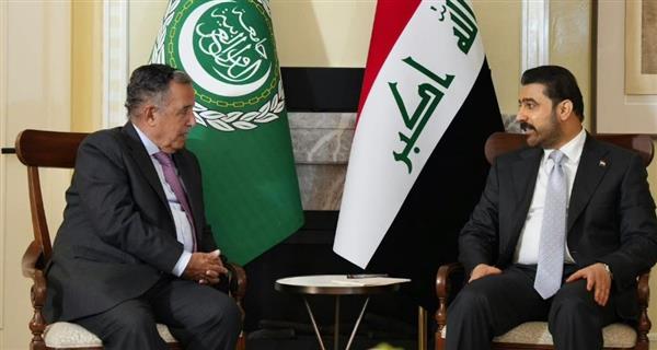نبيل فهمي يلتقي رئيس مجلس وزراء العراق