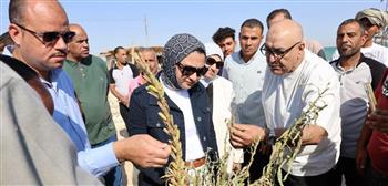   محافظ الوادي الجديد تتفقد عددًا من المشروعات الاستثمارية الزراعية ببحيرة باريس 