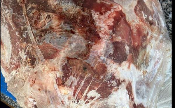 ضبط ربع طن لحوم غير صالحة للاستهلاك الآدمي خلال حملة تفتيشية بالسادات