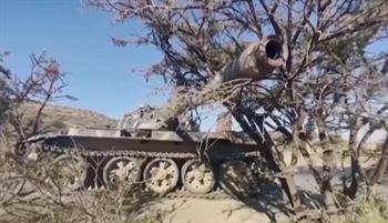   خبير الشؤون الأفريقية: المواجهات بين الأقاليم والحكومة الإثيوبية تشير إلى بداية صراع خطير