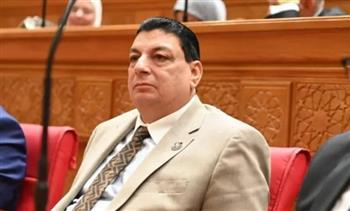 سامي نصر الله: السياسة المصرية عززت مكانة القاهرة كقوة إقليمية وداعم رئيسي للاستقرار