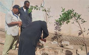   أسيوط تواصل تمهيد الطرق والتشجير بقرى منقباد ونجع سبع