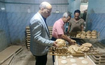 محافظ الغربية: ضبط 2.15 طن دقيق مدعم و6600 عبوة غذائية منتهية الصلاحية