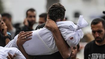 منذ بدء العدوان.. ارتفاع حصيلة الشهداء في قطاع غزة إلى 74,016 والإصابات إلى 175,068
