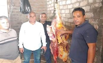   بيطري المنيا: ضبط 1.5 طن لحوم ودواجن ومنتجاتها وتحرير 10 محاضر خلال أسبوع