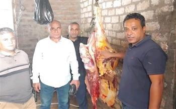 بيطري المنيا: ضبط 1.5 طن لحوم ودواجن ومنتجاتها وتحرير 10 محاضر خلال أسبوع