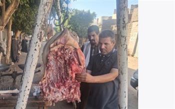   استمرار حملات الطب البيطري على محال بيع اللحوم والدواجن في المنيا