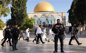   بقوة السلاح والعسكر.. الاحتلال الإسرائيلي يقتحم باحات المسجد الأقصى