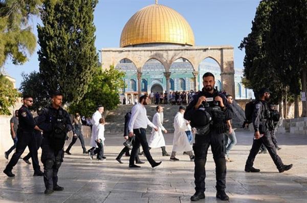 بقوة السلاح والعسكر.. الاحتلال الإسرائيلي يقتحم باحات المسجد الأقصى