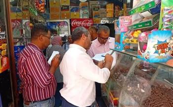   حملة للتفتيش على المصانع ومخازن المواد الغذائية بحي غرب الإسكندرية